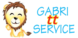 Gabri TT Logo